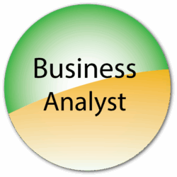 senior-business-analyst