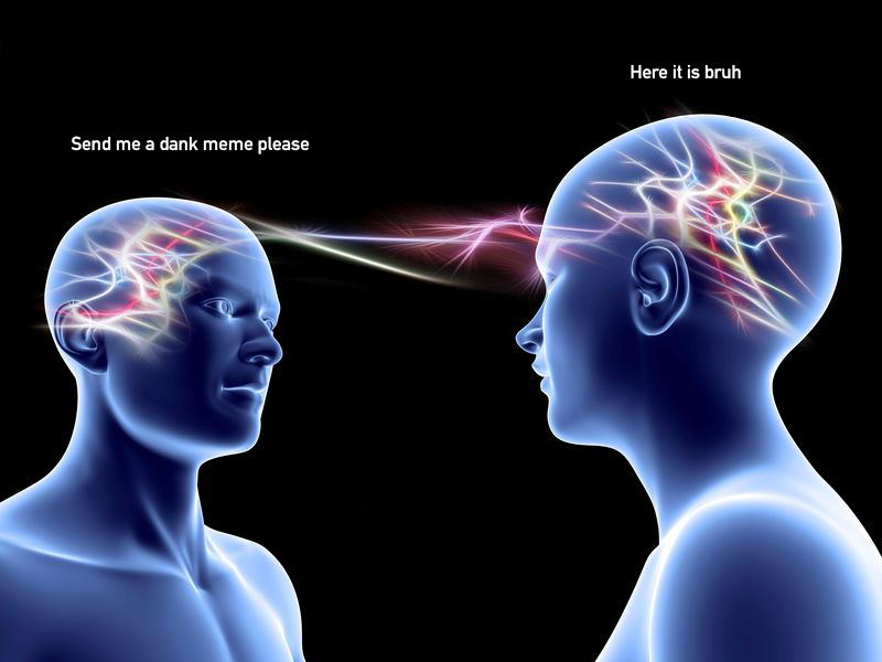 intellinet - the brain internet network